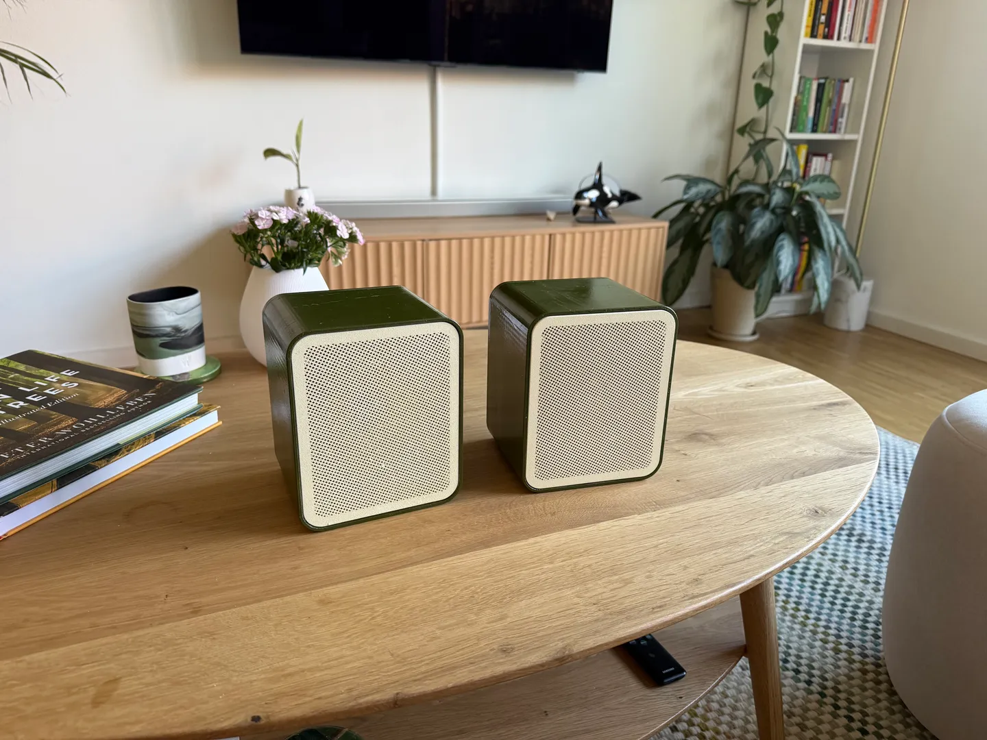 Speaker Image
