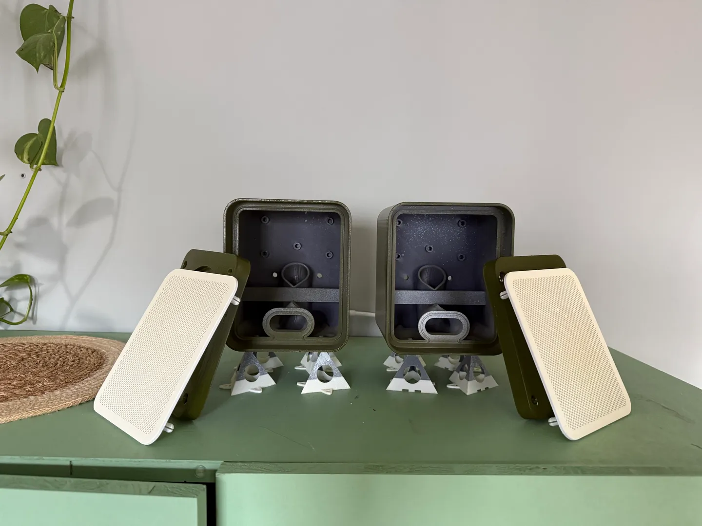 Speaker Image