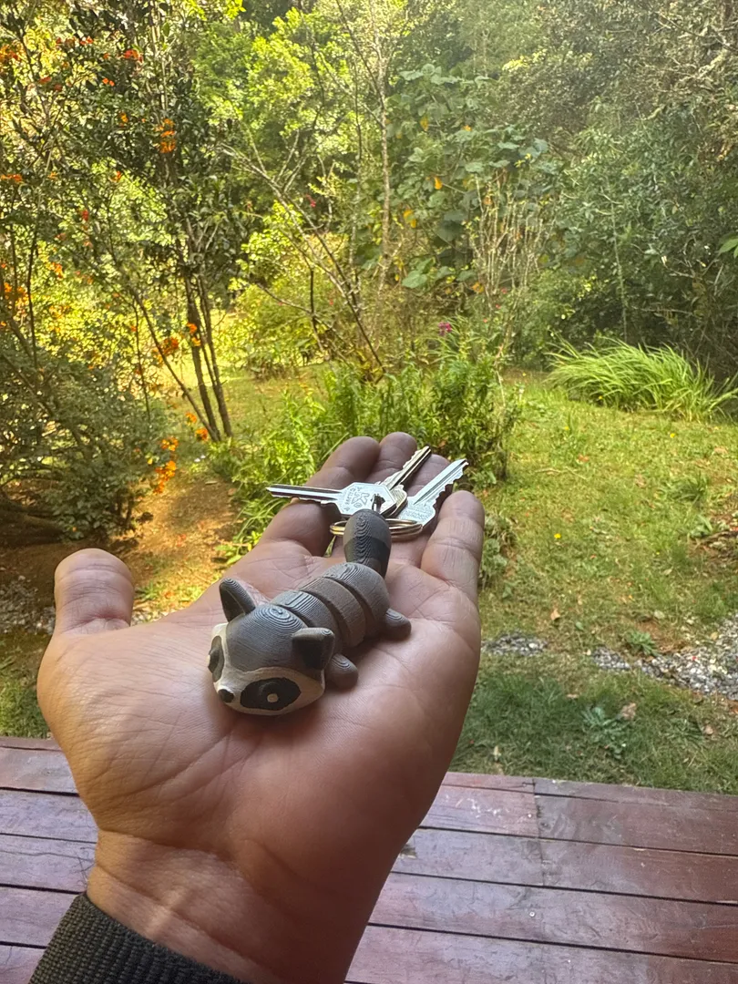 3D Printed Raccoon Keychain